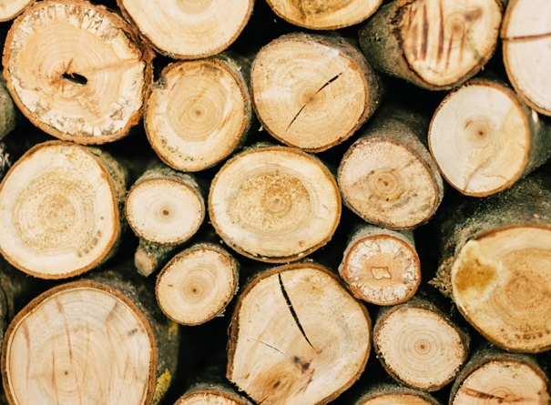 Как определить влажность обрезного бруса и почему это важно?