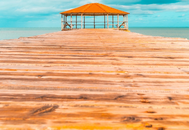 Можно ли использовать планкен из лиственницы для обшивки террас и беседок?