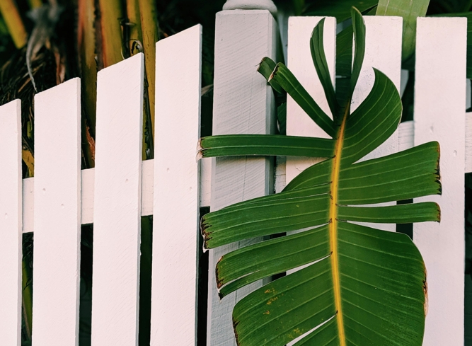 Доска для забора