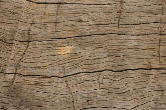 Почему обрезная доска трескается и как этого избежать